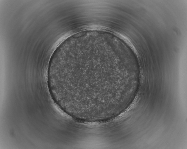X0000112210946200909181551
