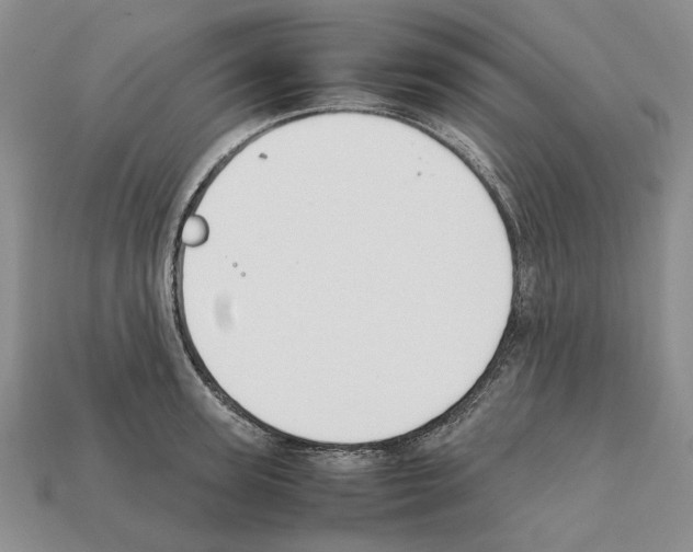 X0000112210947200909181551