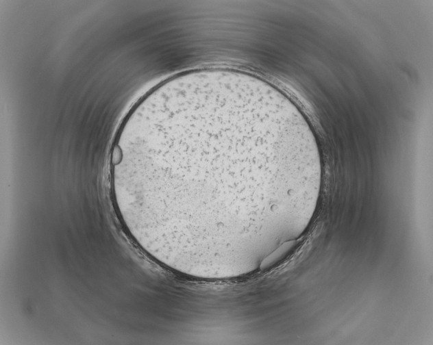 X0000112210948200909181551