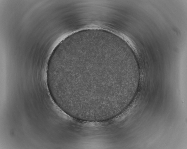 X0000112210950200909181551