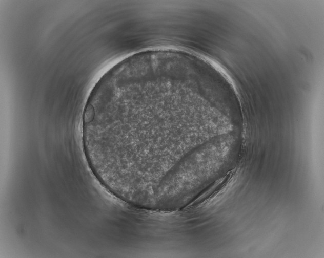 X0000112210951200909181551