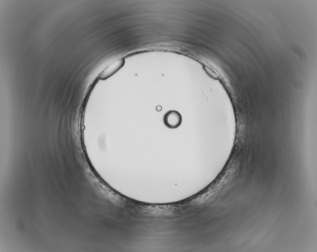 X0000112210952200909181551