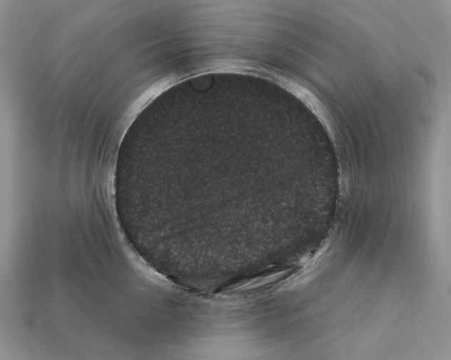 X0000112210954200909181551