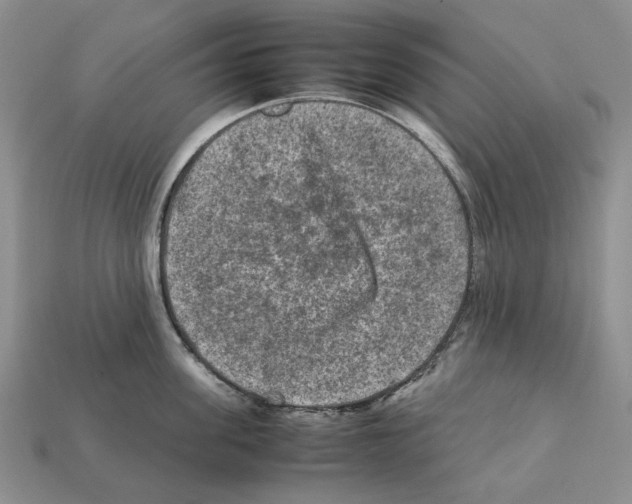 X0000112210955200909181551