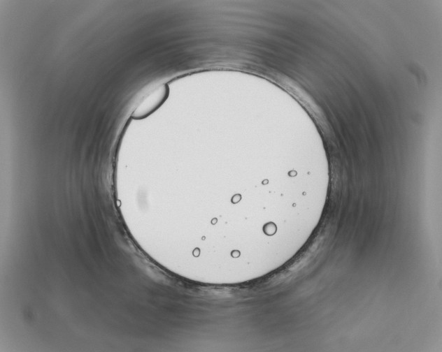 X0000112210956200909181551