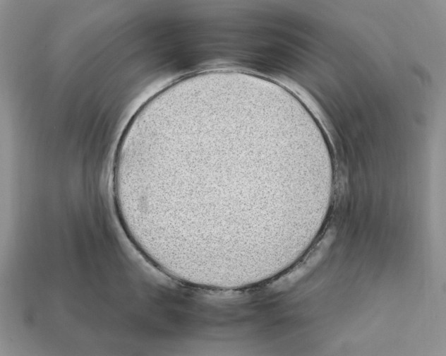 X0000112210957200909181551