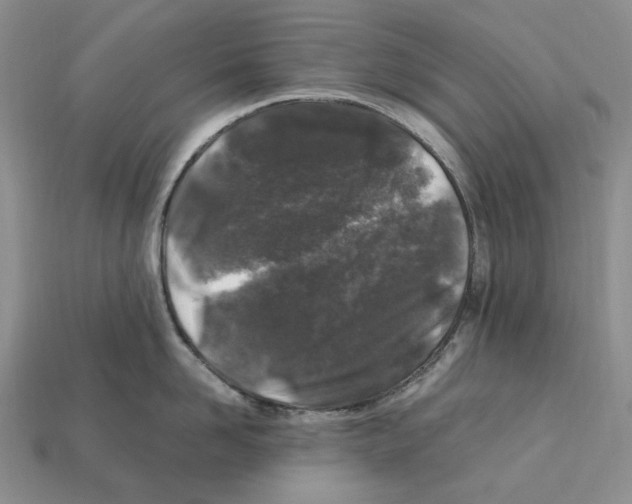 X0000112210958200909181551