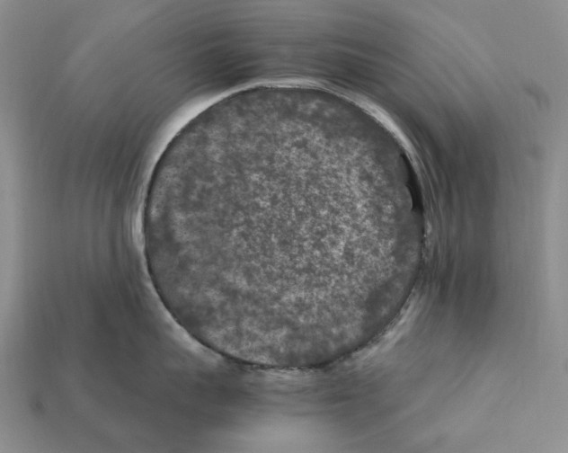 X0000112210959200909181551