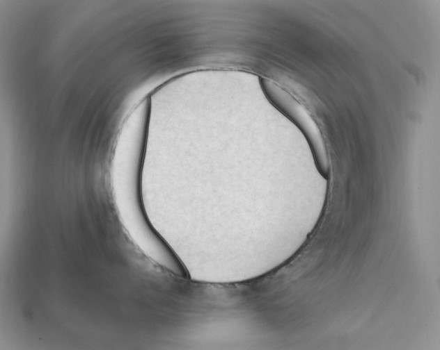 X0000112210960200909181551