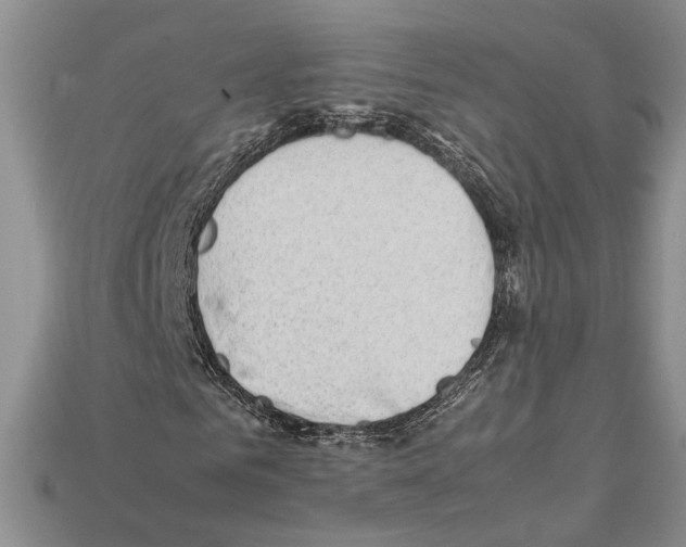 X0000112210961200909181550