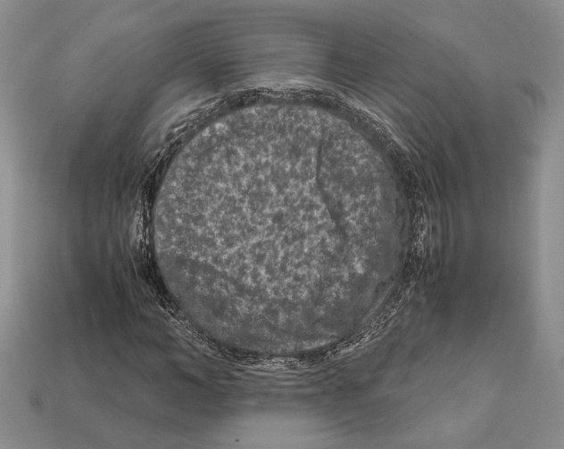 X0000112210966200909181550