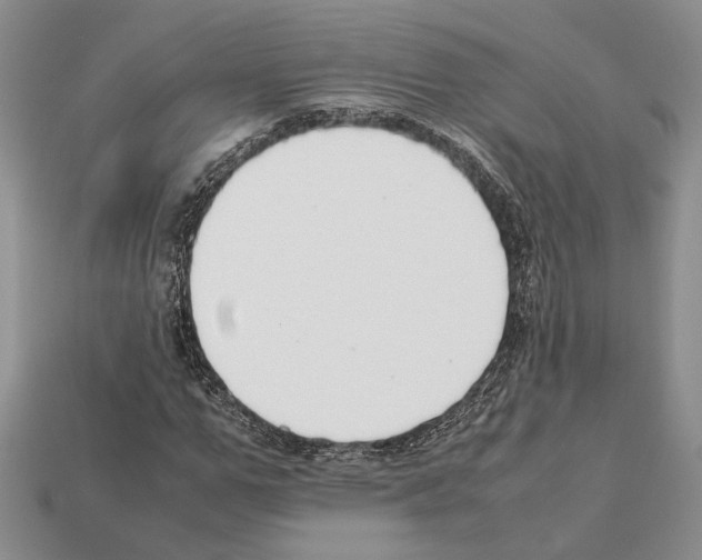 X0000112210967200909181550