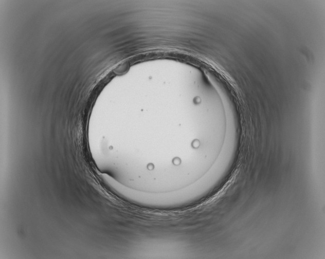 X0000112210969200909181550