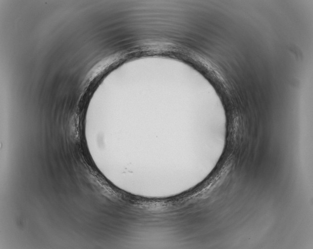 X0000112210970200909181550