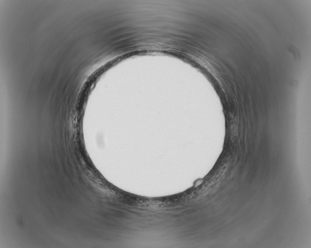 X0000112210971200909181550