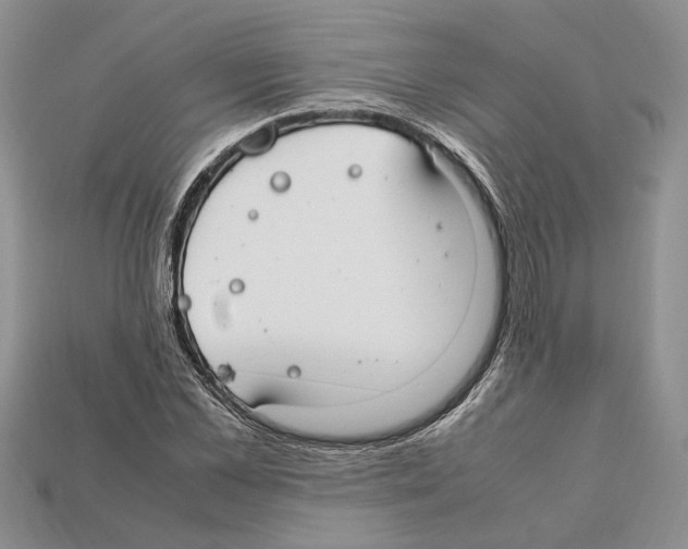 X0000112210973200909181550