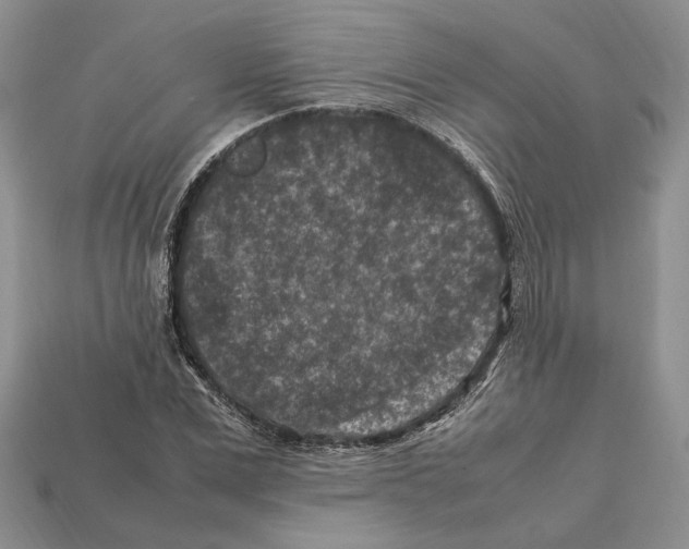 X0000112210975200909181550