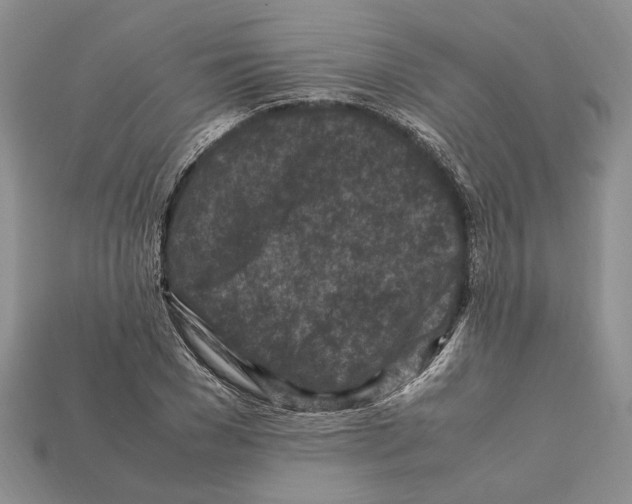 X0000112210977200909181550