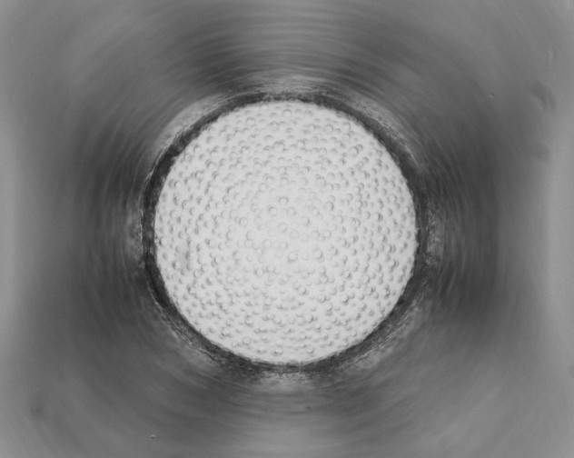 X0000112210978200909181550