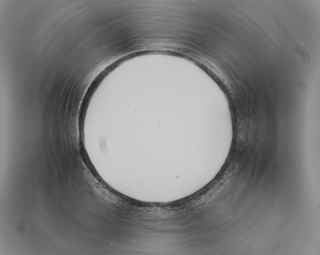 X0000112210980200909181550