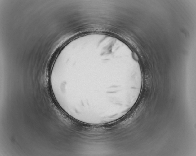X0000112210981200909181550