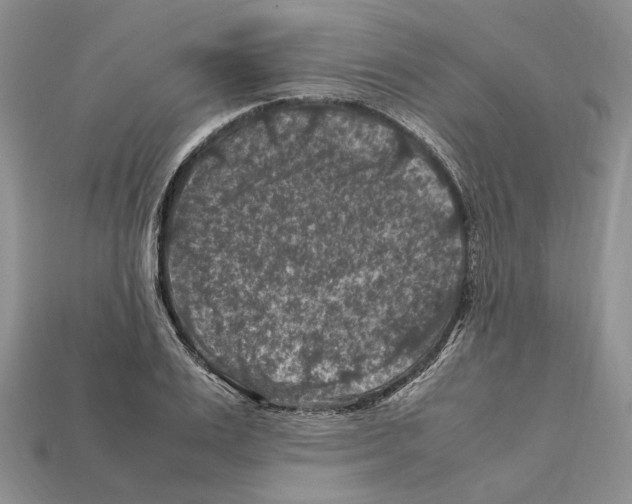 X0000112210983200909181550
