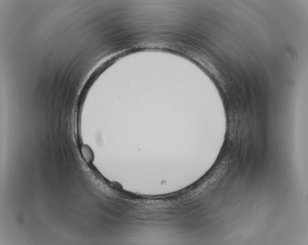 X0000112210984200909181550