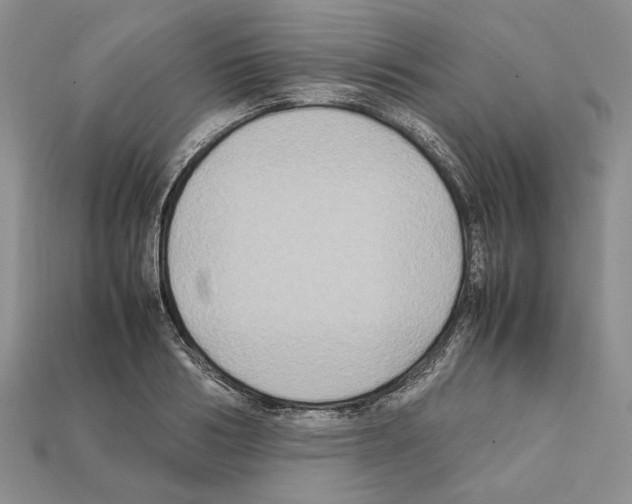 X0000112210986200909181550