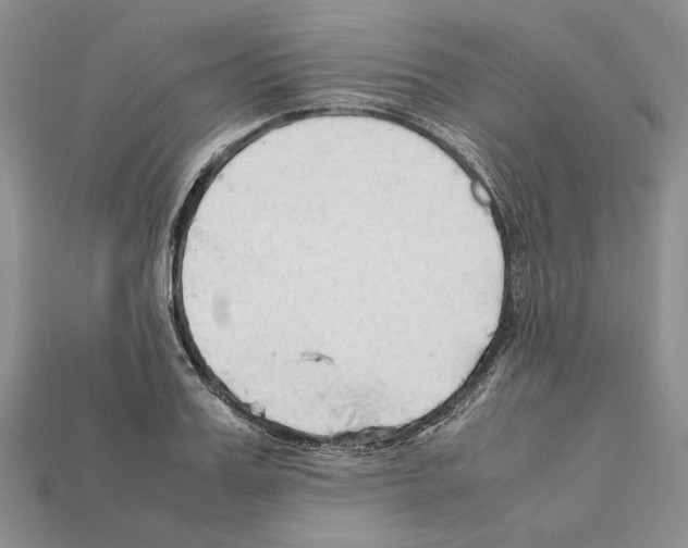 X0000112210987200909181550