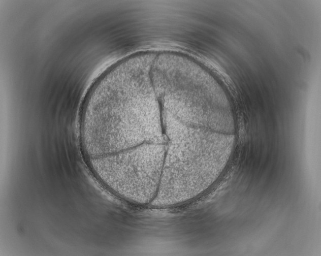 X0000112210990200909181550