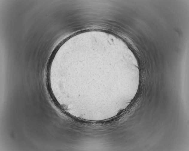 X0000112210991200909181550