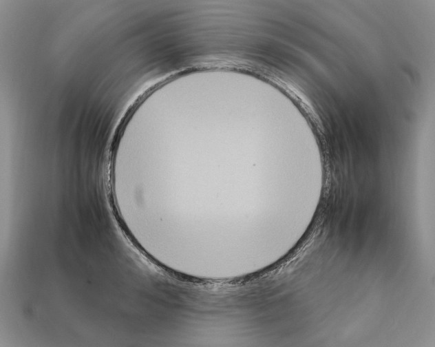 X0000112210992200909181550