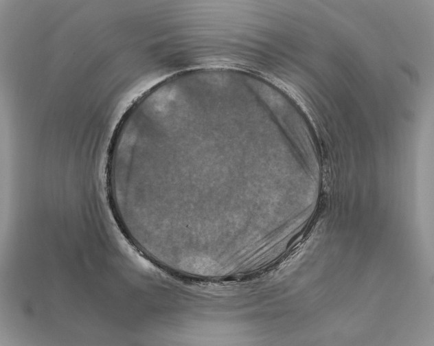 X0000112210995200909181550
