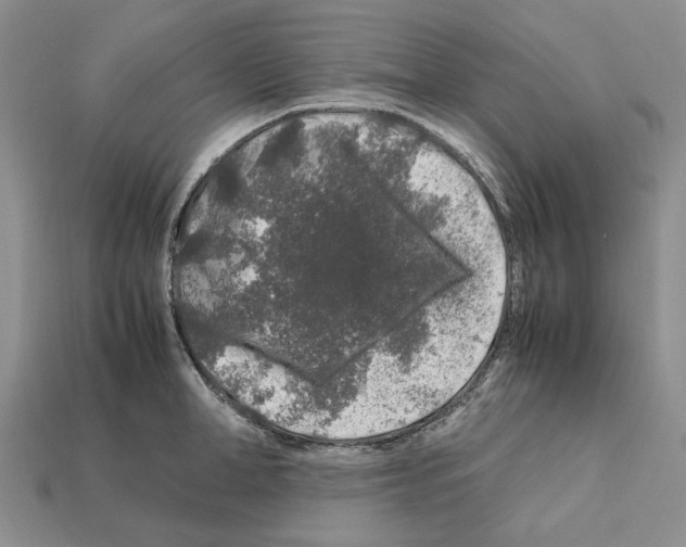 X0000112210998200909181550