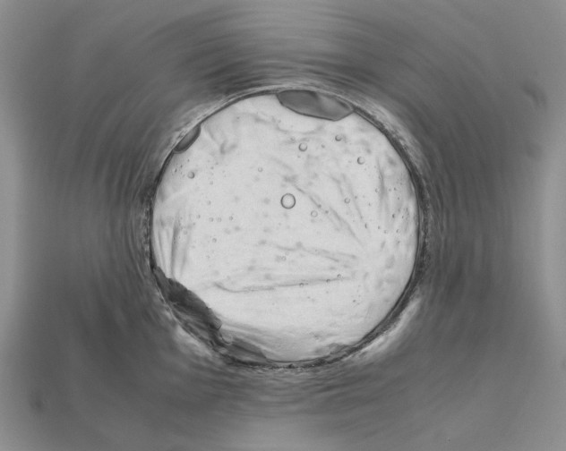 X0000112211001200909181550