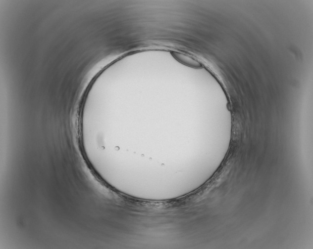 X0000112211003200909181550