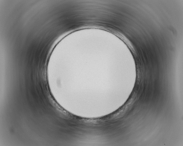 X0000112211004200909181550