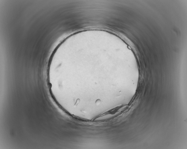 X0000112211005200909181550