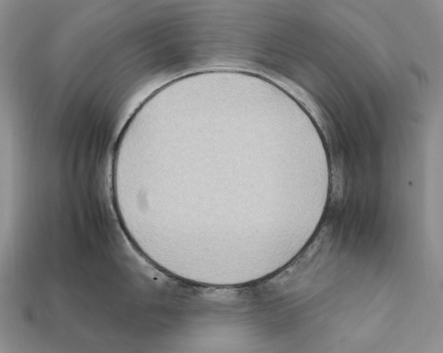 X0000112211006200909181550