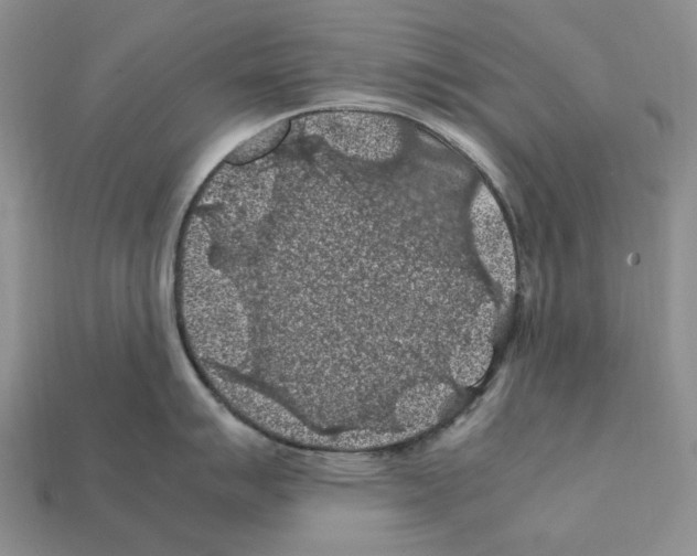 X0000112211007200909181550