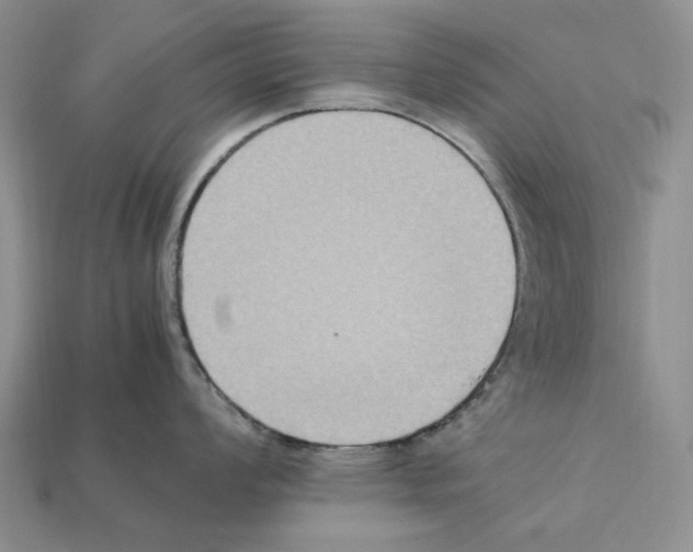 X0000112211008200909181550