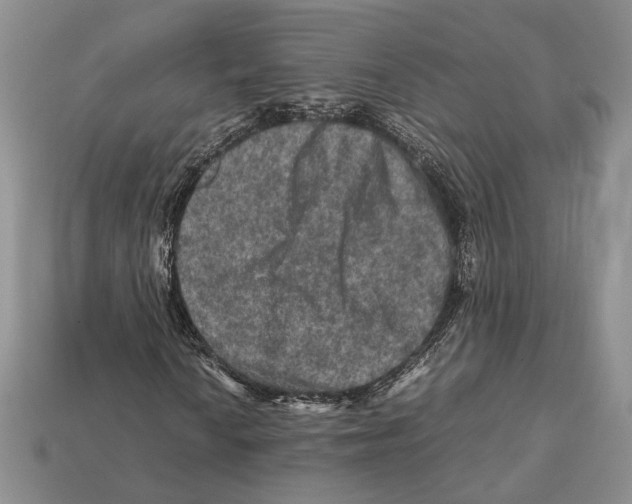 X0000112211010200909181549
