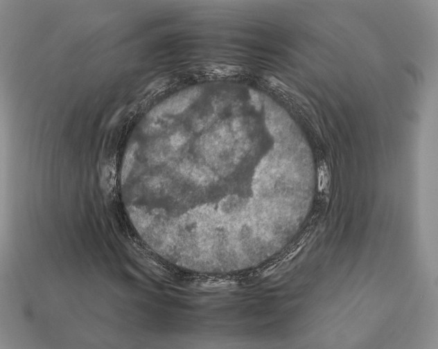 X0000112211011200909181549