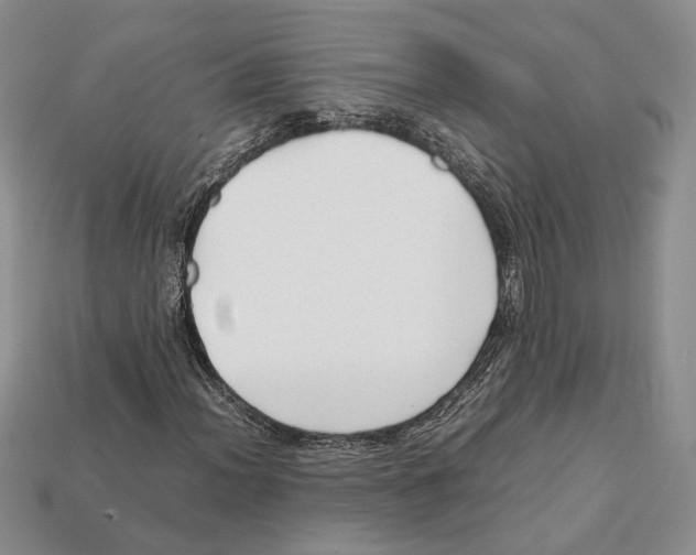 X0000112211012200909181549