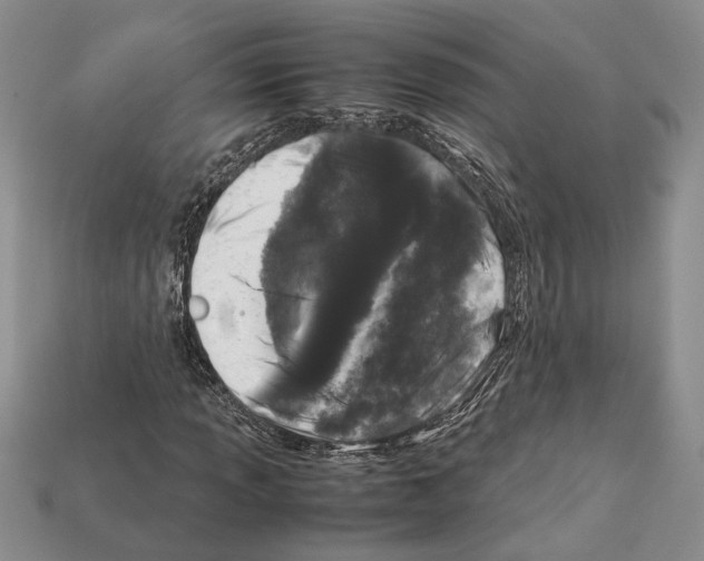 X0000112211013200909181549