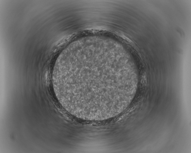 X0000112211014200909181549