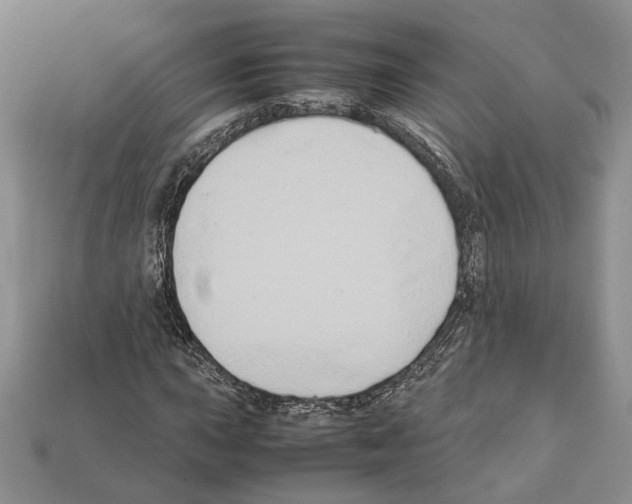 X0000112211015200909181549