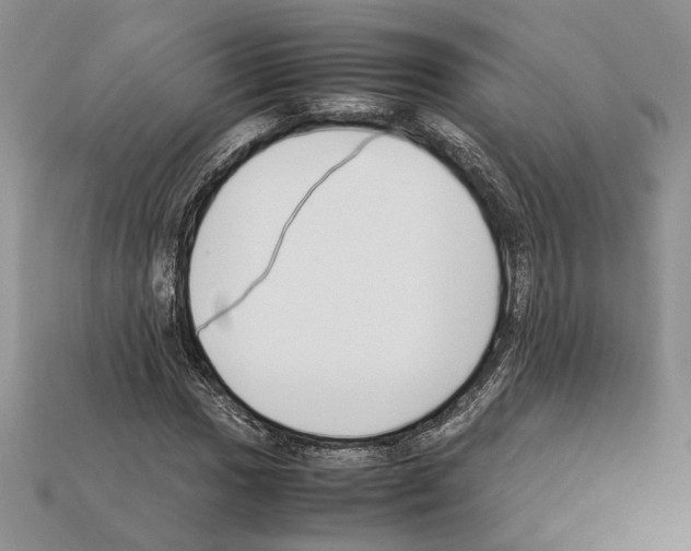 X0000112211017200909181549