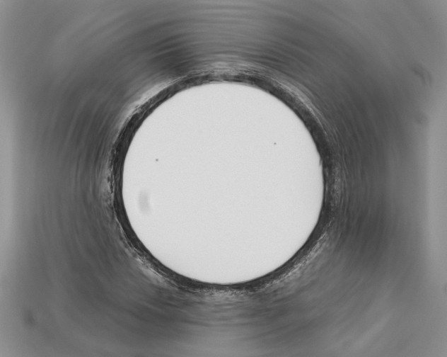 X0000112211018200909181549