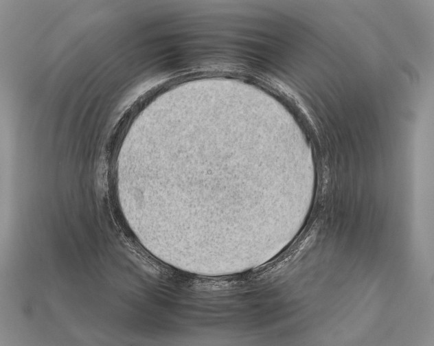 X0000112211019200909181549